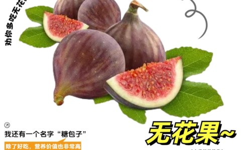 胃乃安的功效与作用及禁忌-胃乃安疗效-胃乃安功效主治,中国胃乃安的功效与作用网站